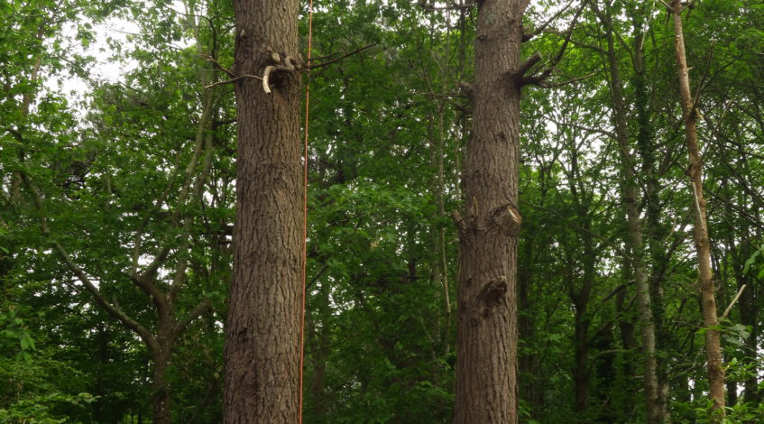 Services Collectivités - Au Sommet De Chez Vous