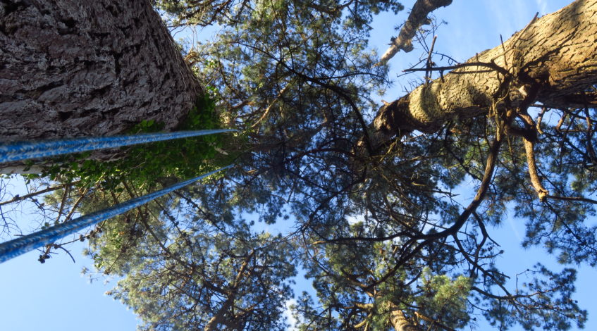 Services Entreprises - Au Sommet De Chez Vous