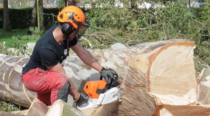 Services Particuliers - Au Sommet De Chez Vous